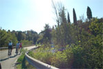 gal/2007/16 - Fondo Valdarbia - La corsa/_thb_DSC_1360-01.jpg